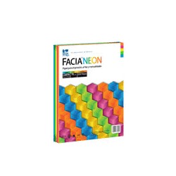 PAPEL NEON CARTA DE 75 GRS 5 COLORES MIX PAQUETE DE 250 HOJAS 